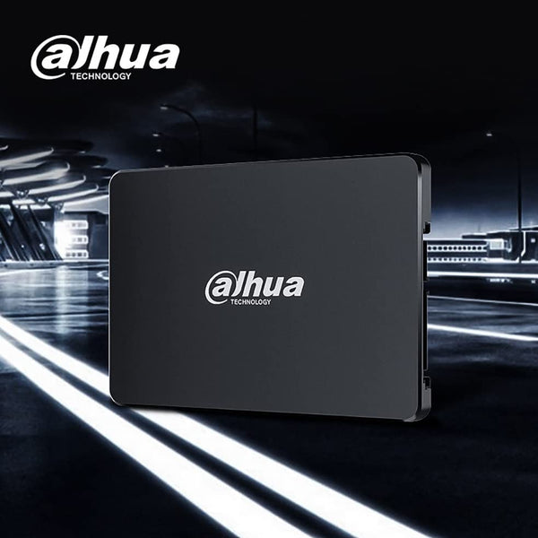 Dhua C800A 256G SATA SSD 